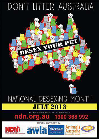 Image of Desexing Poster