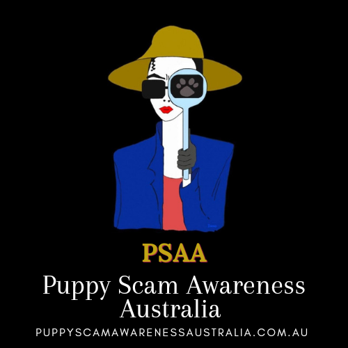 Puppy Scam Awareness Australia