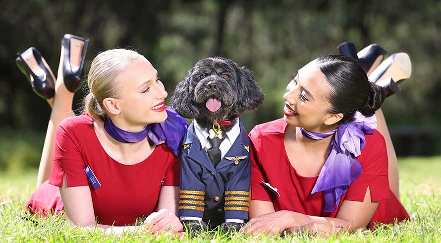 Image of two airline stewards and a dog in a pilot's uniform