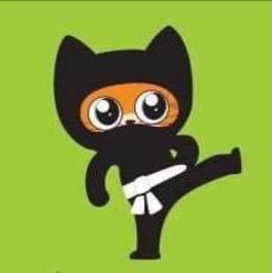 Ginger Ninja Cat Rescue